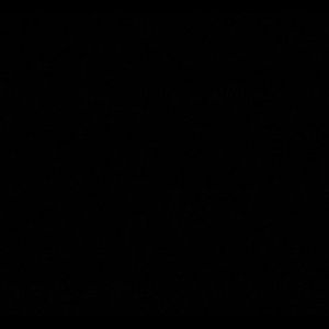 Meet your Posher, Mia